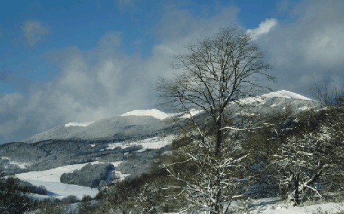 Bieszczady Sylwester w Bieszczadach