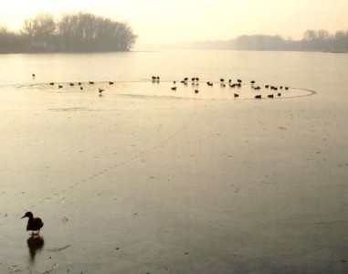 sylwester Frombork zabawa sylwestrowa we Fromborku nad jeziorem