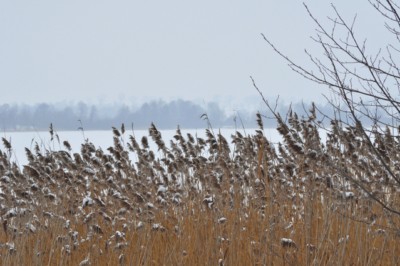 sylwester Ostr�da zabawa sylwestrowa w Ostr�dzie nad jeziorem