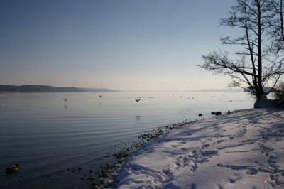sylwester Reda zabawa sylwestrowa w Redzie nad jeziorem