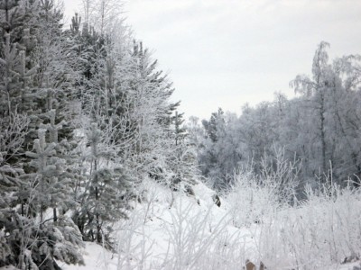 Szczawnica Sylwester w Szczawnicy na nartach