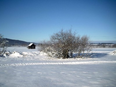 imprezy zubrzyca grna sylwester w zubrzycy grnej narty